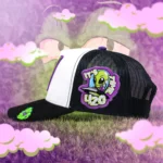 gorra_westcol_420_negra_2_750x